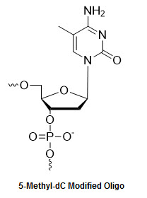 Bio-Synthesis Inc. Oligo Structure